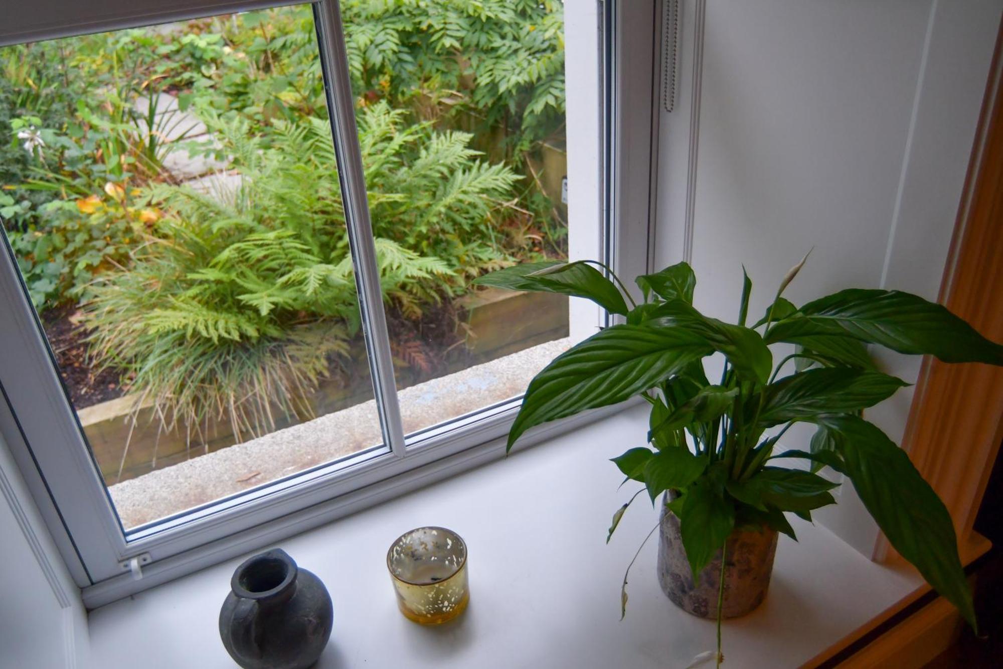 Luxury Croft Templepatrick Near Airport Rabbit And Hilton Hotel Exterior foto